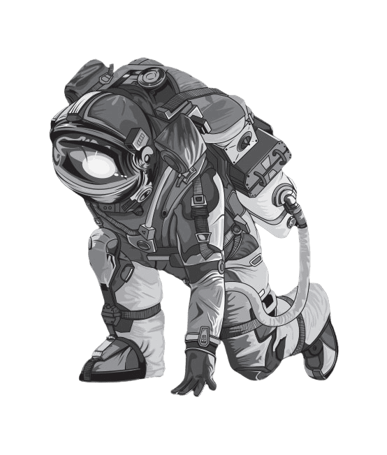 Kiiruse-optimeerimine-WP-Rocket Kiiruse-optimeerimine-WP-Rocket